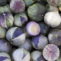 PURPLE TOMATILLO / MEXICAN TOMATO  / JAMBERRY  - 20 SEEDS - Heirloom