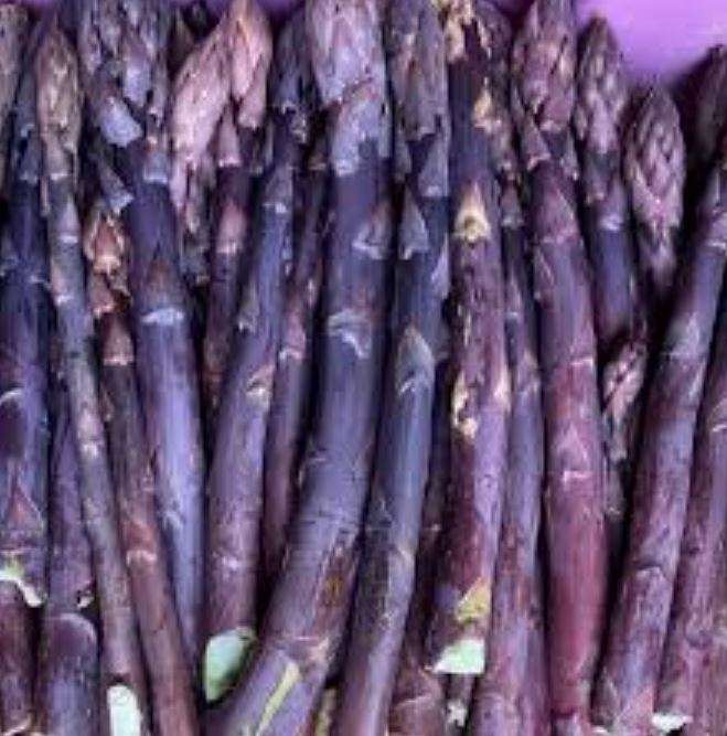 ASPARAGUS "PACIFIC PURPLE"  -  10 SEEDS