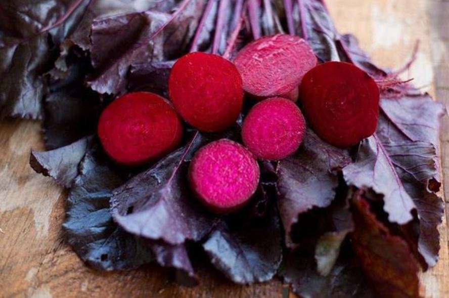 BEETROOT  "BULLS BLOOD"    -  15 SEEDS