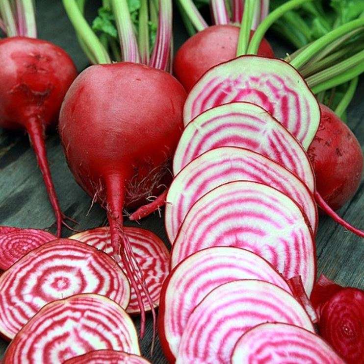 BEETROOT  "CHIOGGIA RED"    -  15 SEEDS