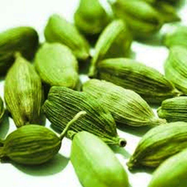 CARDAMOM / ELACHIE /    15 SEEDS     medicinal