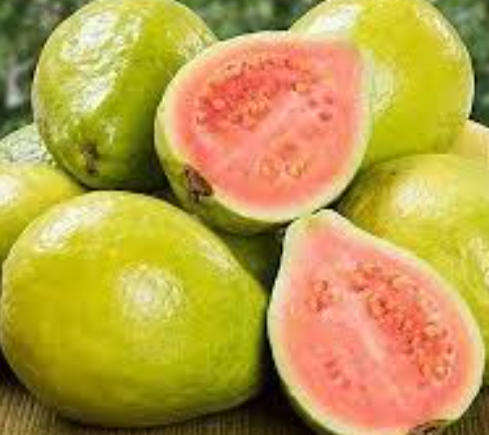 GUAVA  "Mexican Pink Cream"   -  Psidium Guajava -  10 Seeds