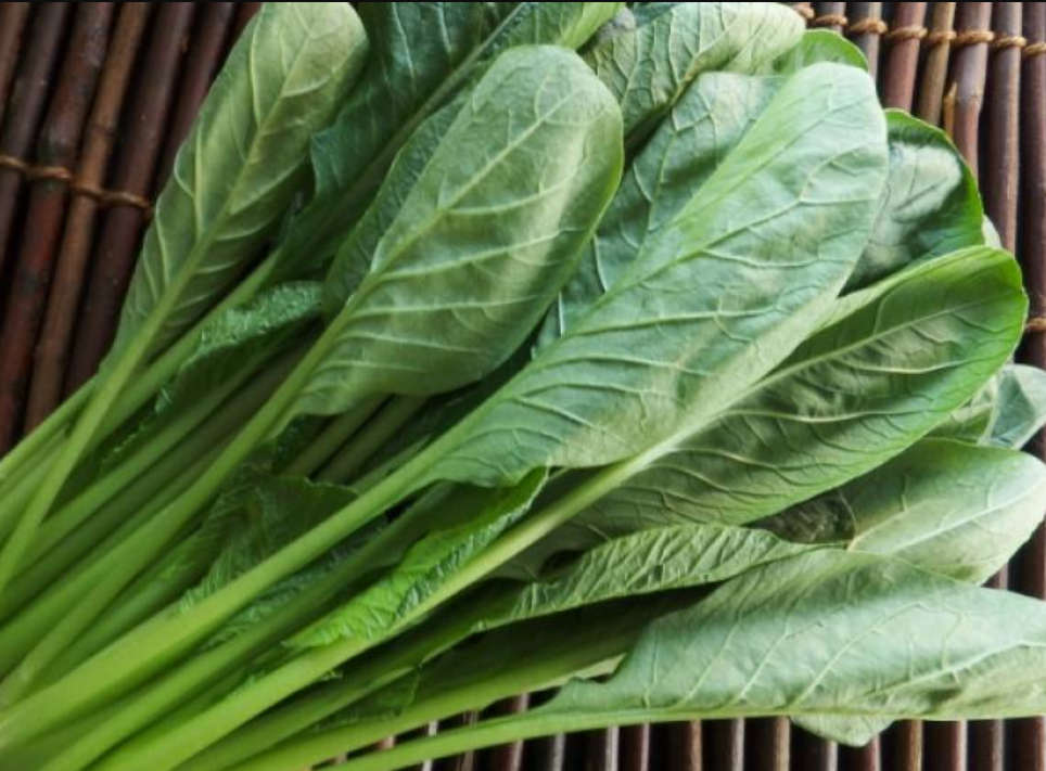 Komatsuna  /  Japanese Mustard Spinach   - 20 Seeds