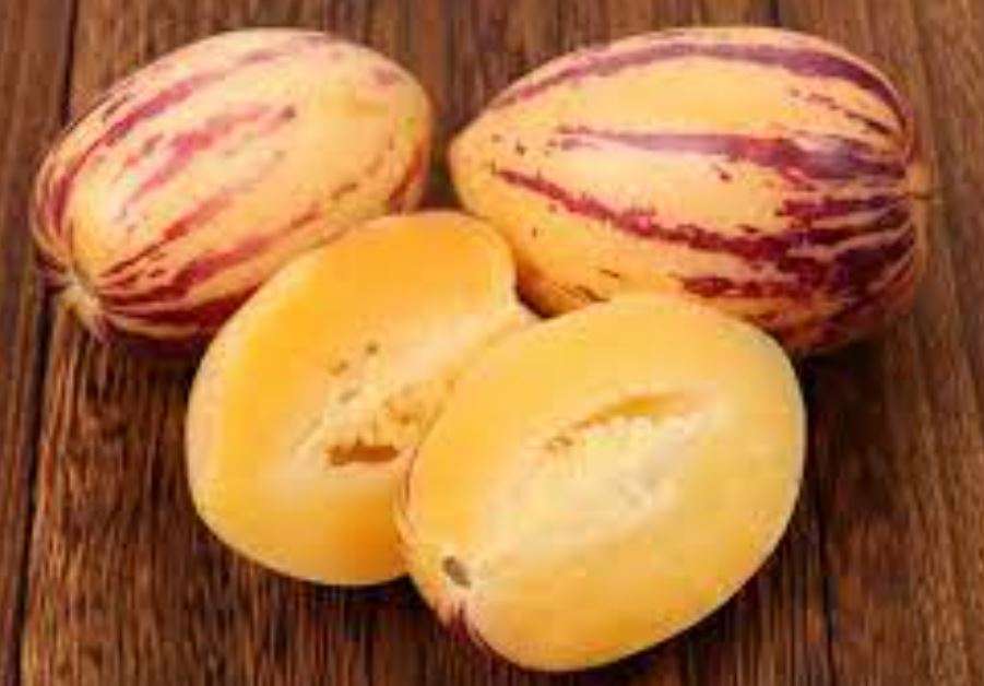 Pepino / Melon Pear / Pepino Dulce -   'Solanum muricatum Aiton'  -  5 Seeds