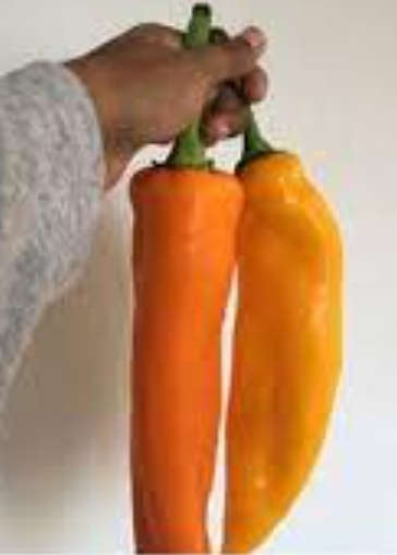 CORNO DI TORO GIALLO  / GIANT BULL'S HORN PEPPER  -   5 SEEDS