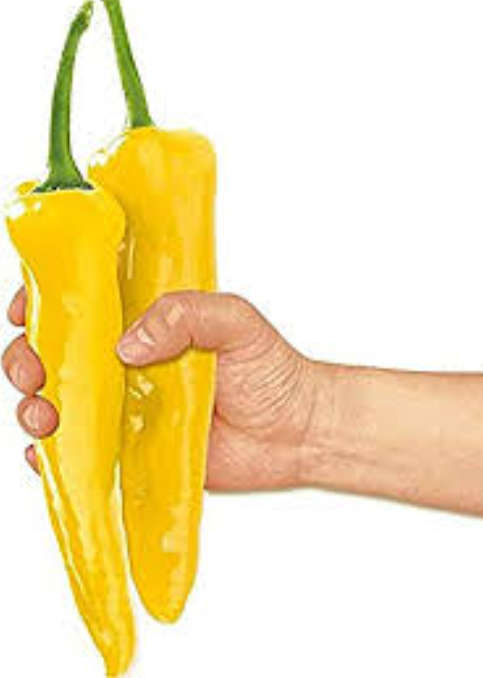 CORNO DI TORO GIALLO  / GIANT BULL'S HORN PEPPER  -   5 SEEDS
