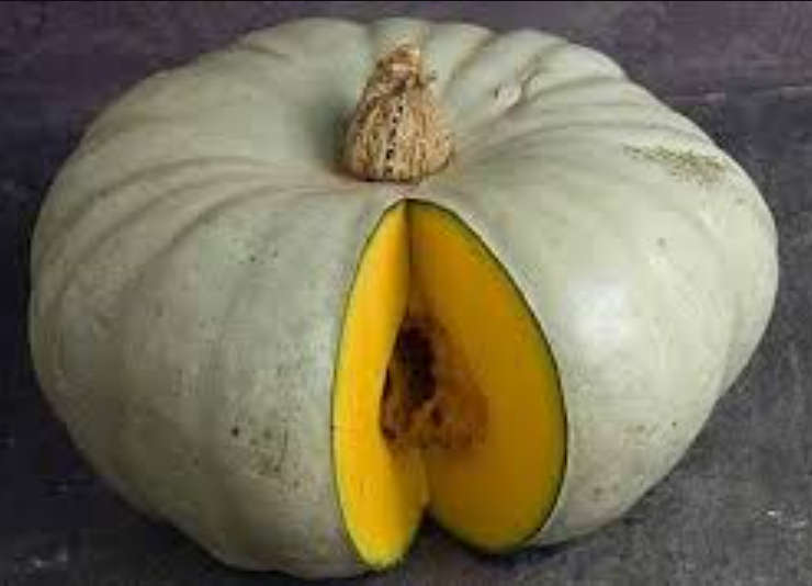 Pumpkin Squash  "Hungarian Blue"  "Nagydobosi Sutotok"  -    10 Seeds   Heirloom