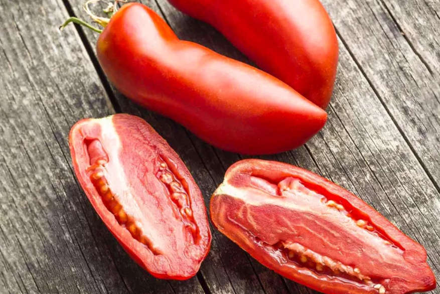 SAN MARZANO  / SAUSAGE  Tomato    - 15  Seeds   -  Heirloom