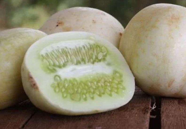 HEIRLOOM - CRYSTAL APPLE CUCUMBER    - 10  SEEDS
