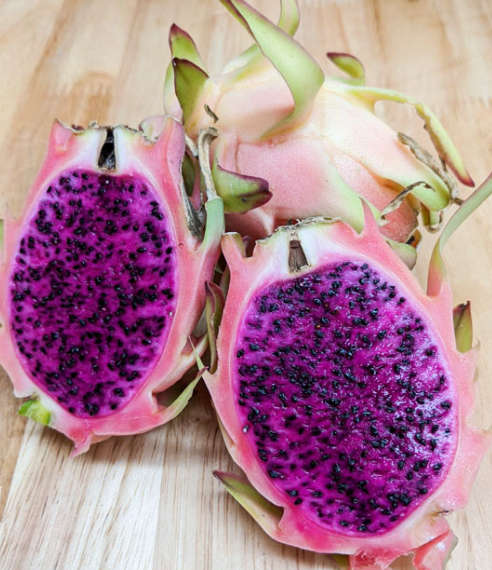 Dragon Fruit 'Makisupa'   - 20 Seeds  -  Pink Flesh & Skin