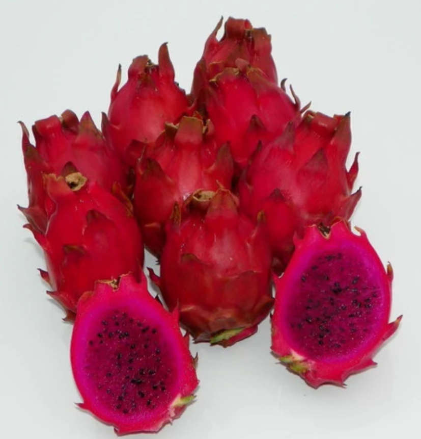 Pitaya 'Voodoo Child'  Hylocereus guatamalensis   -  20 Seeds