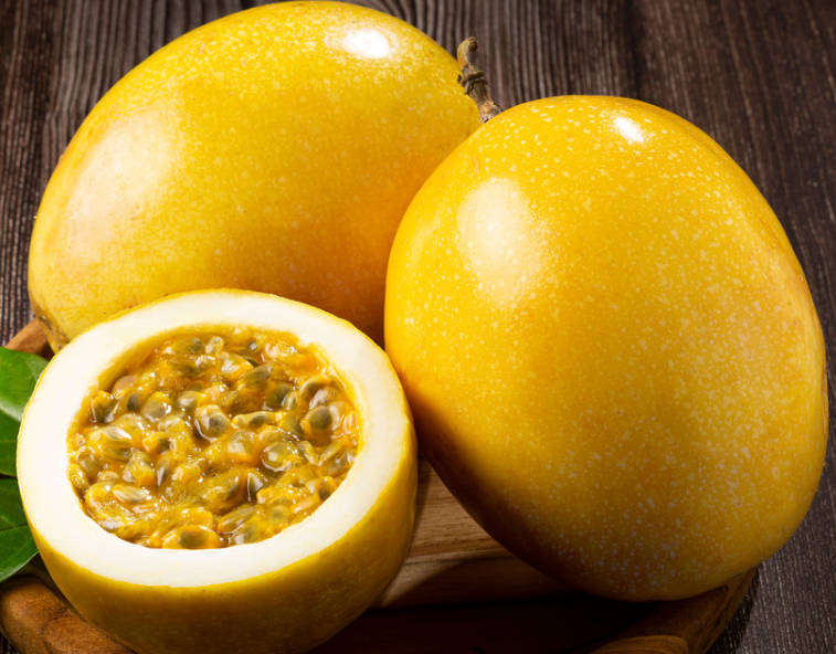 QUAVADILLA / Guavadella / Yellow Passion Fruit   -  10 Seeds