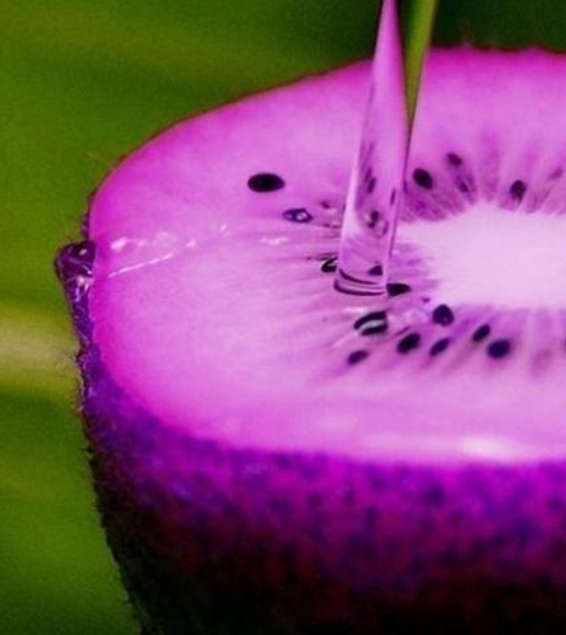 Purple Kiwi  (Actinidia melanandra)  30 Seeds  -  Exotic
