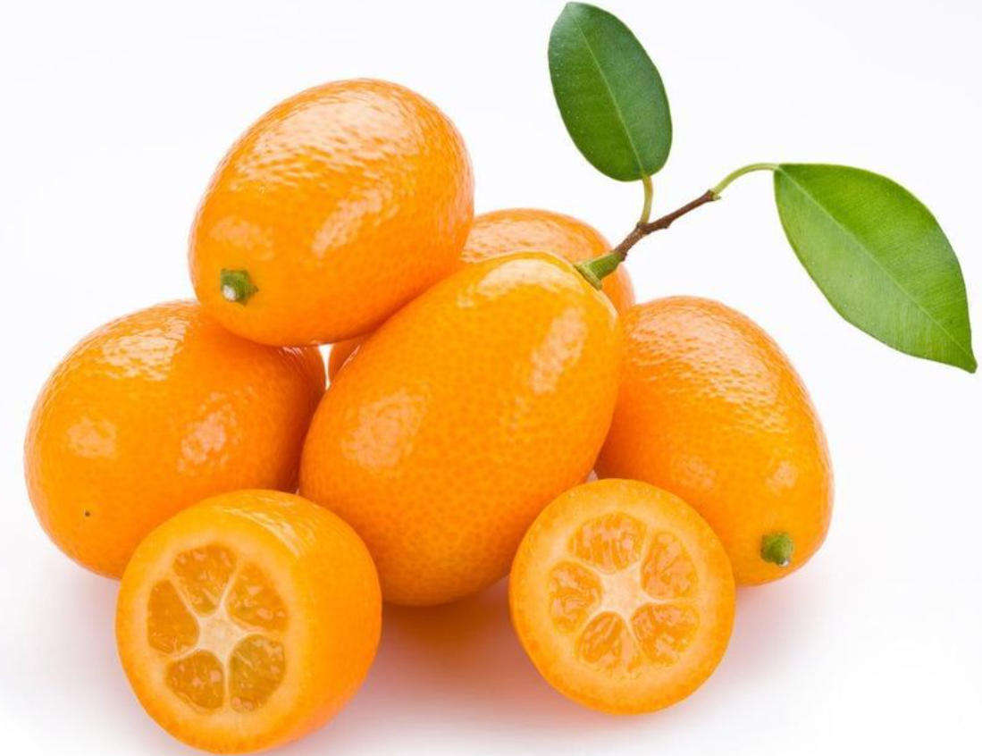 NAGAMI KUMQUAT / Citrus Fortunella Margarita  -   10 Seeds