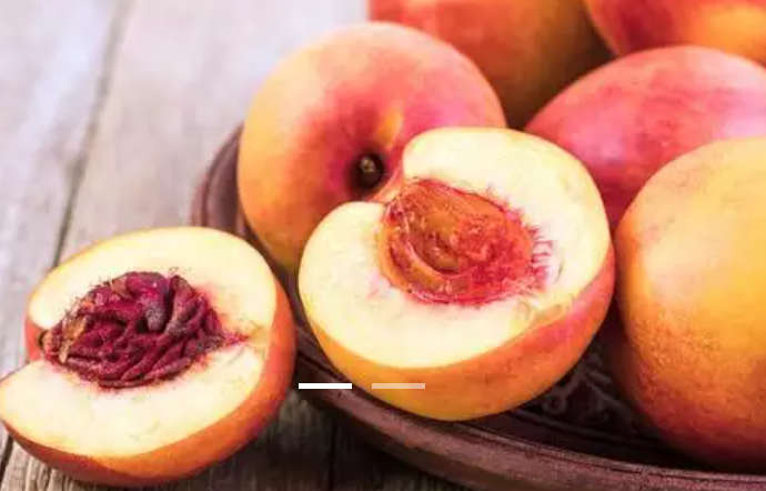 NectaCot Fruit   -  'Prunus Armeniaca Honey Pearls'   -  3 Seeds