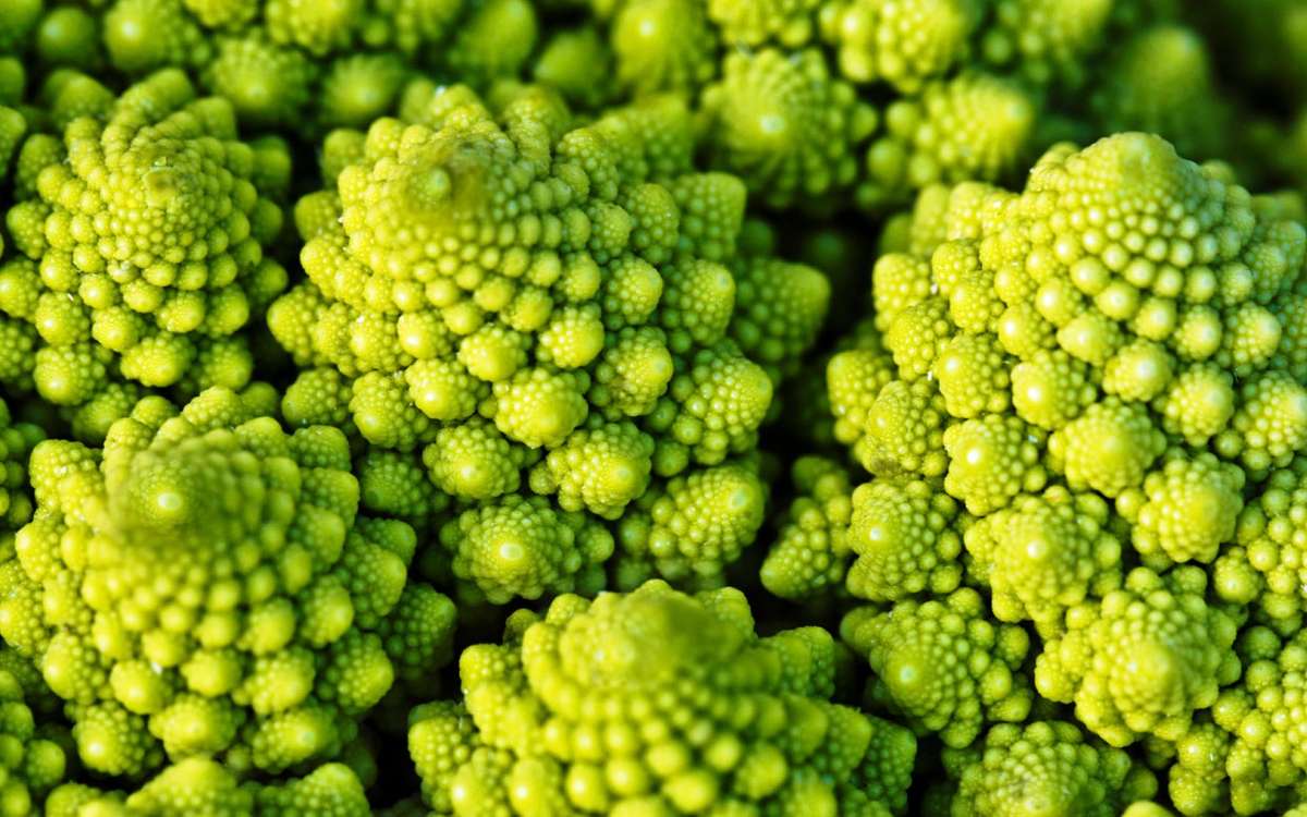ROMANESCO FRACTAL BROCCOLI /  ROMAN CAULIFLOWER - 20 SEEDS
