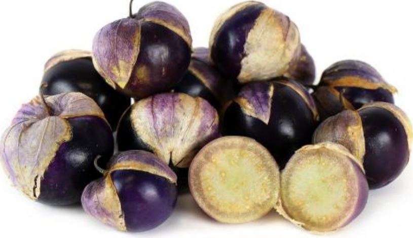 PURPLE TOMATILLO / MEXICAN TOMATO  / JAMBERRY  - 20 SEEDS - Heirloom