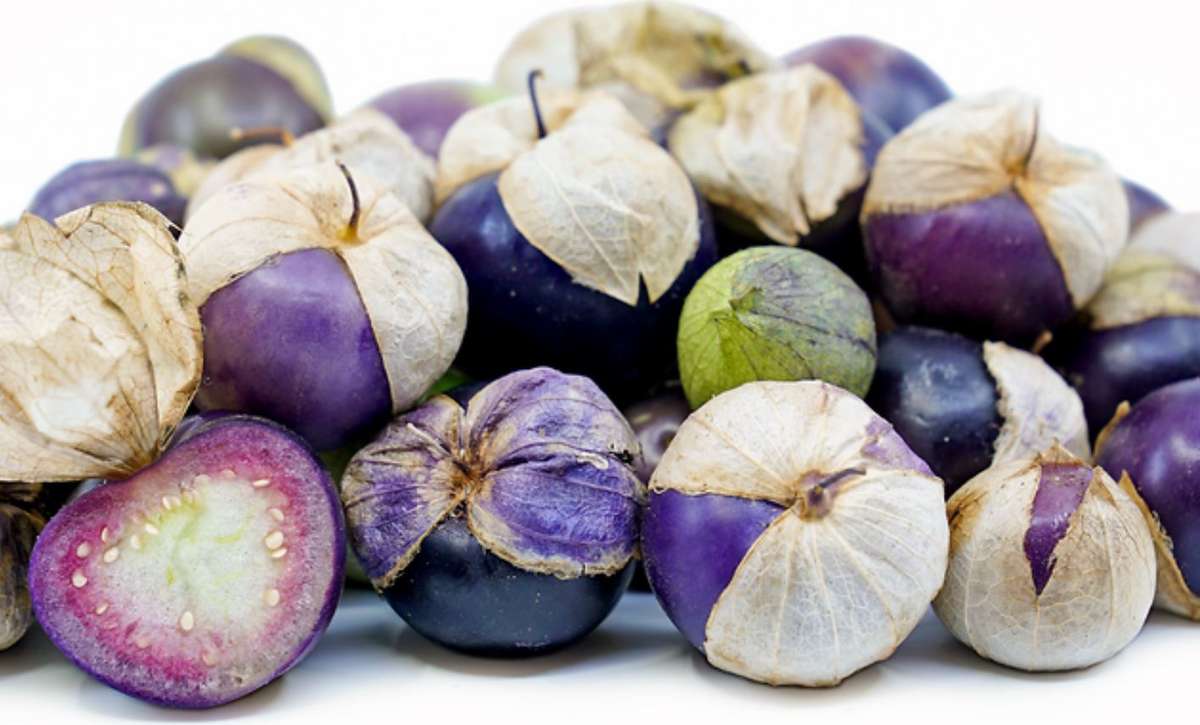 PURPLE TOMATILLO / MEXICAN TOMATO  / JAMBERRY  - 20 SEEDS - Heirloom