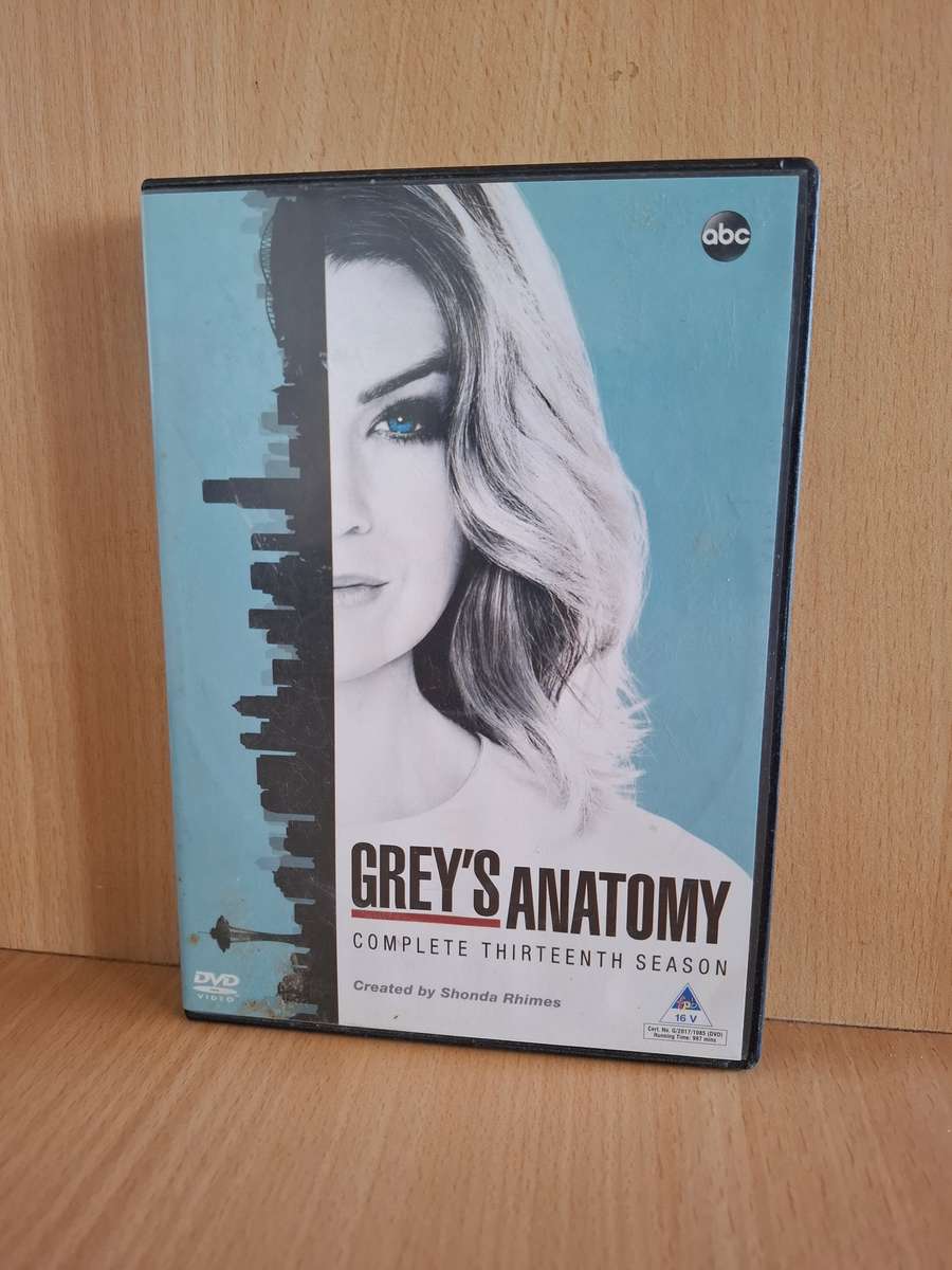 Grey`s Anatomy - Complete Thirteenth Season - Dvd  (6 discs)
