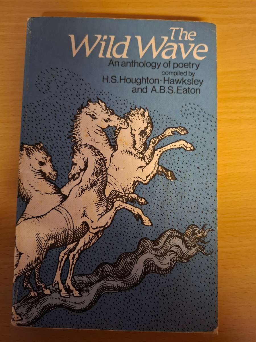 The Wild Wave - An Anthology of Poetry: H.S. Houghton-Hawksley and A.B.S. Eaton (Paperback)