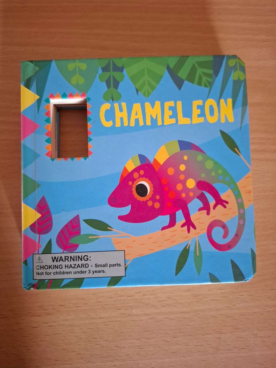 Chameleon (Board Book) Sn