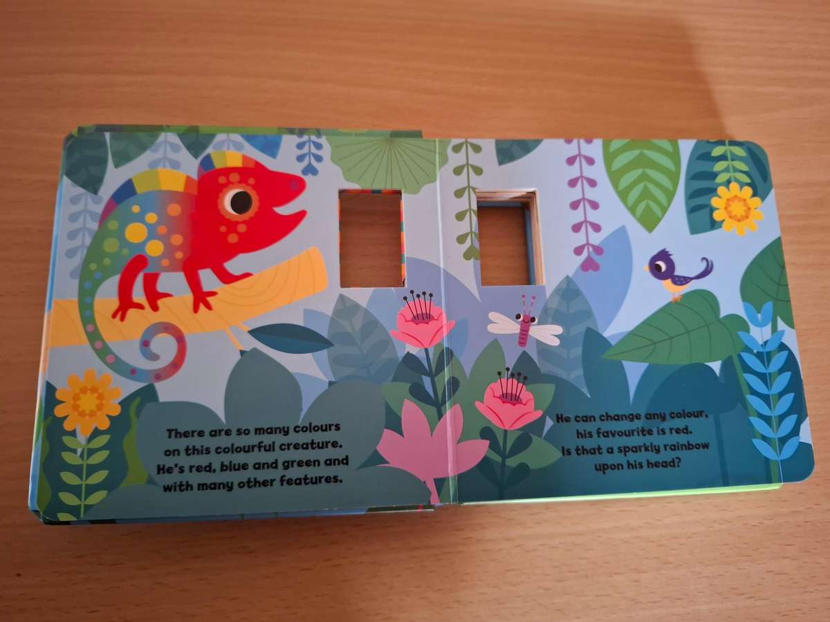 Chameleon (Board Book) Sn