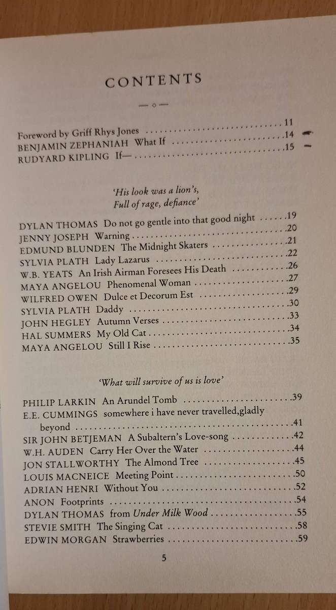 The Nation`s Favourite Twentieth Century Poems (Foreword by Griff Rhys Jones) Paperback