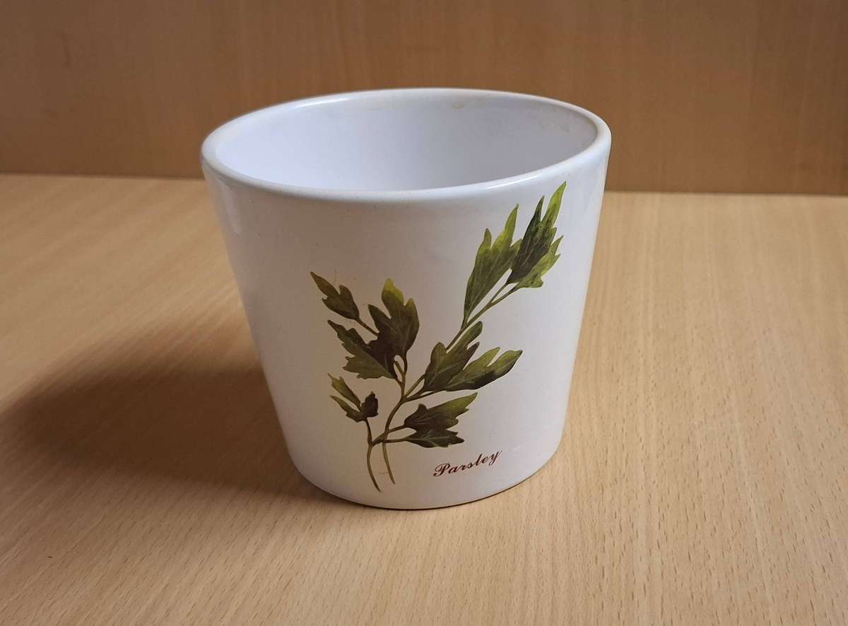 Parsley Pattern Ceramic Plant Pot/Planter (height 10cm width 12cm)