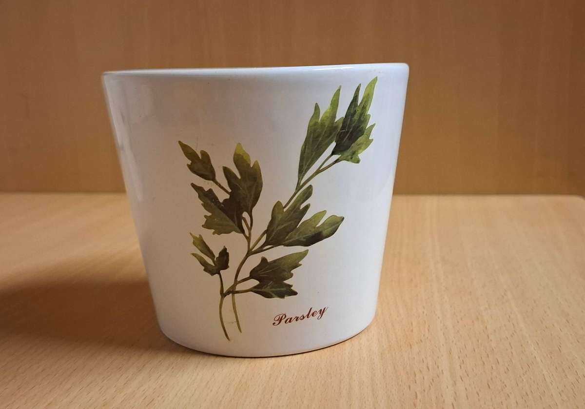 Parsley Pattern Ceramic Plant Pot/Planter (height 10cm width 12cm)