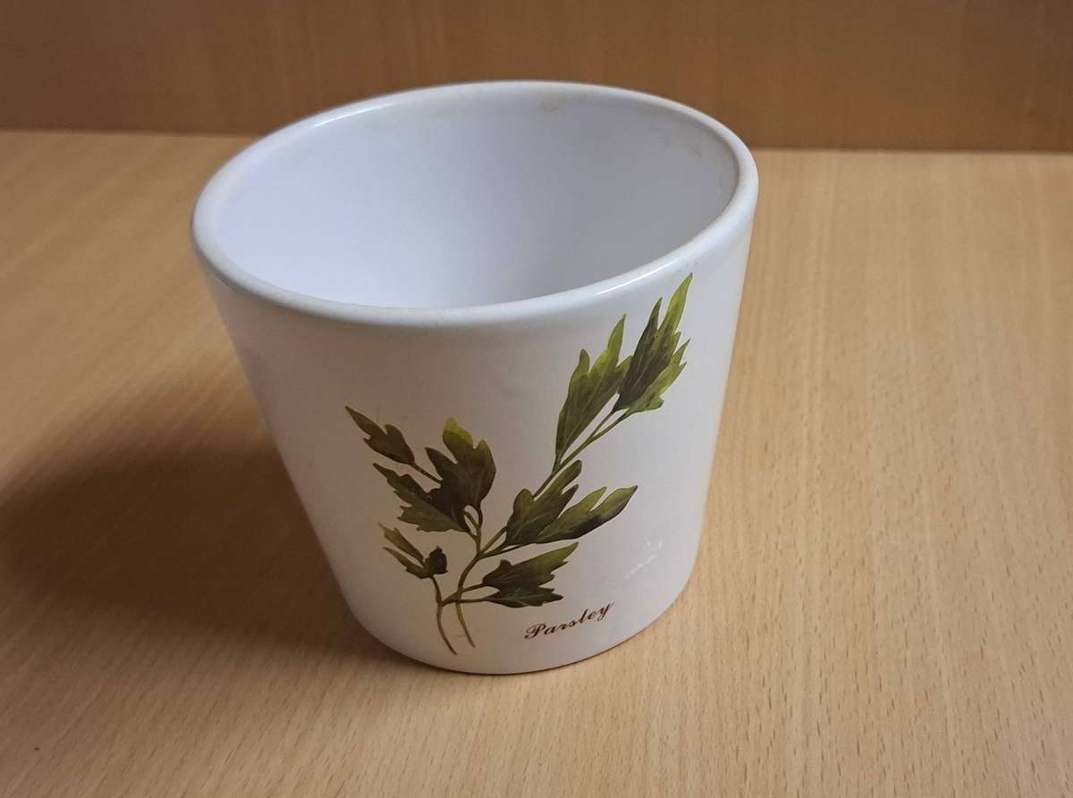 Parsley Pattern Ceramic Plant Pot/Planter (height 10cm width 12cm)