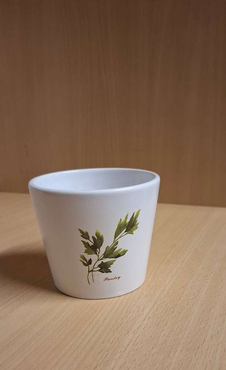 Parsley Pattern Ceramic Plant Pot/Planter (height 8cm width 9cm)