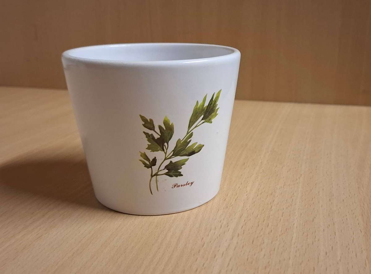 Parsley Pattern Ceramic Plant Pot/Planter (height 8cm width 9cm)