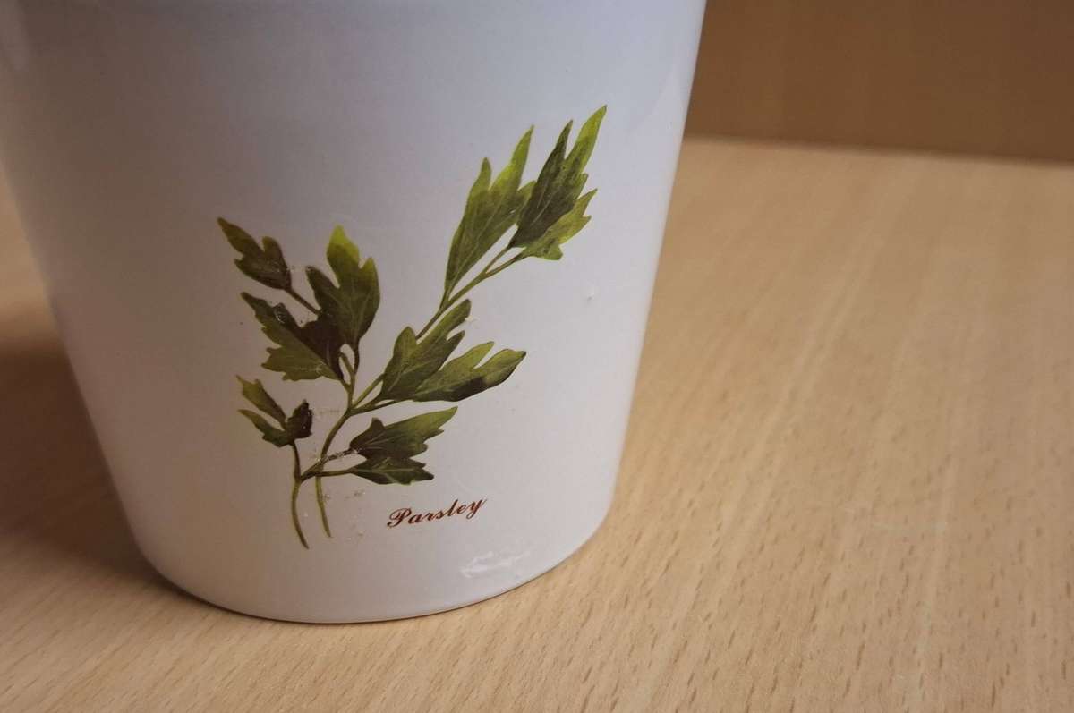 Parsley Pattern Ceramic Plant Pot/Planter (height 8cm width 9cm)