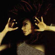 Tori Amos - From the Choirgirl Hotel - CD