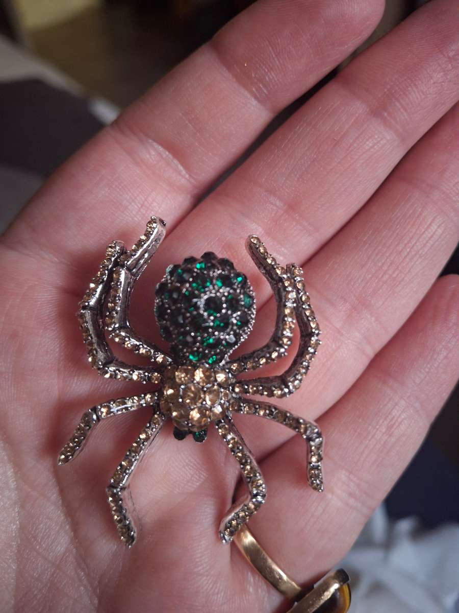 Very nice spider brooch