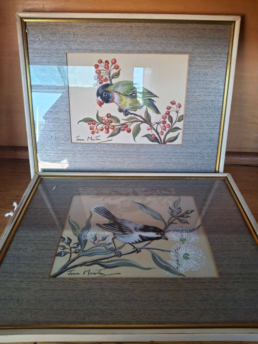 Two stunning framed bird scene prints