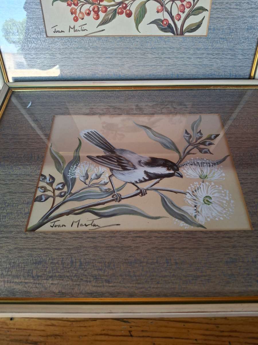 Two stunning framed bird scene prints