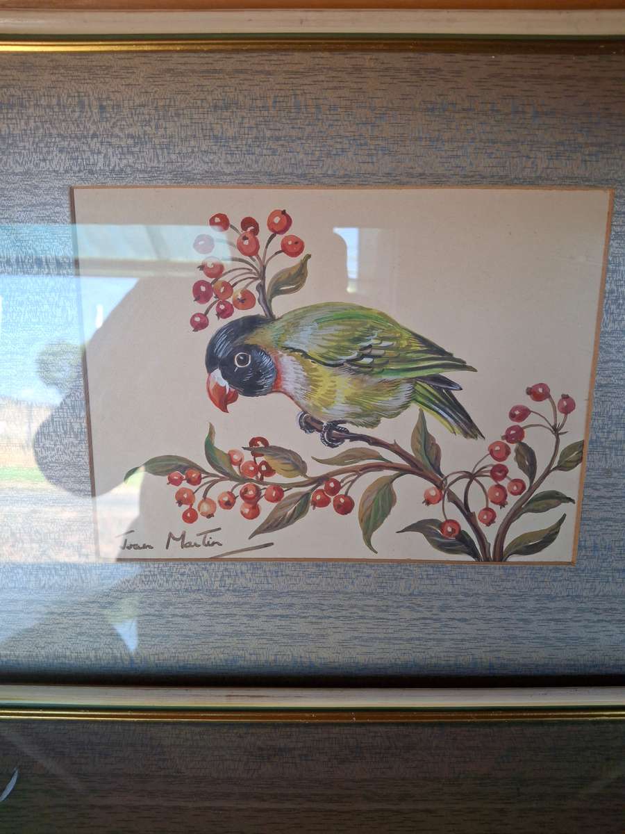 Two stunning framed bird scene prints