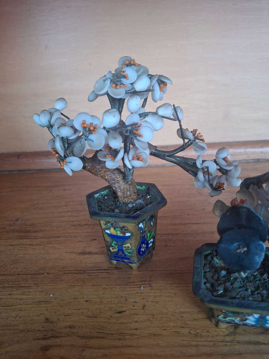 Two chiense trees with cloisonne pots