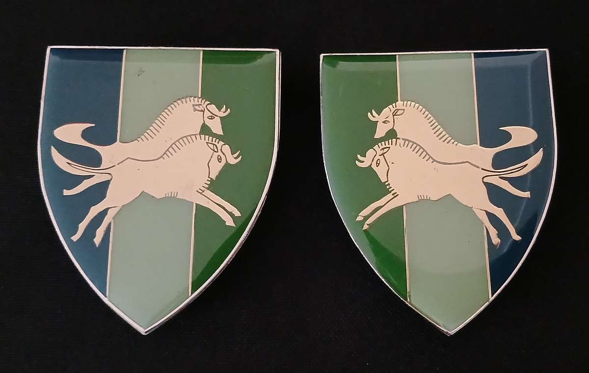 SADF NATAL SIGNAL UNIT SHOULDER FLASH PAIR  ( ONE PIN REPAIRED )               L54