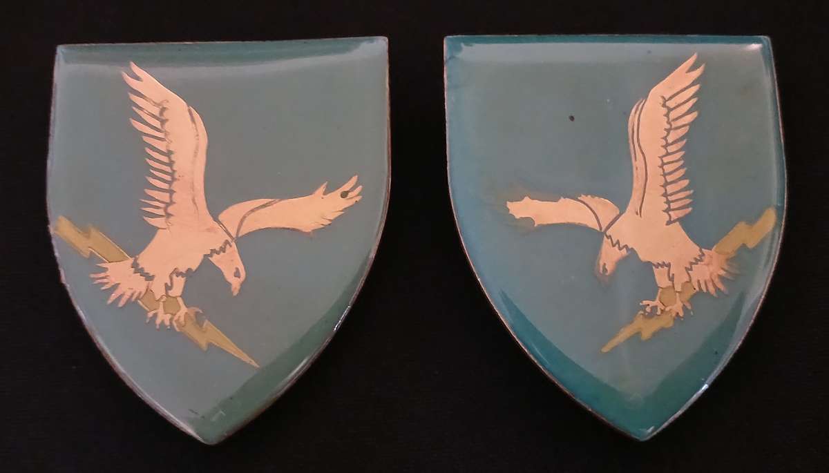 CISKEI Defence Force 1 Battalion Shoulder Flash Pair    ( One Pin Repaired )                  L60