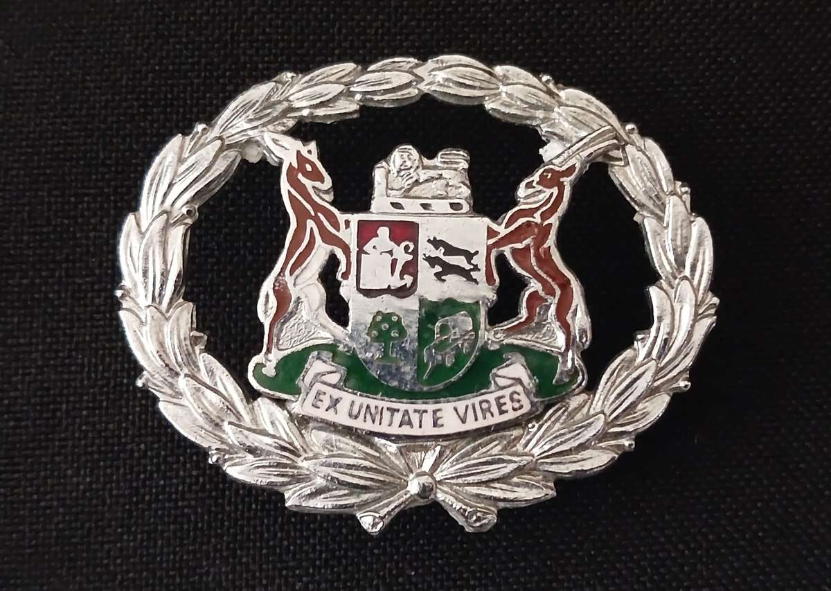 SAP WARRANT OFFICERS RANK BADGE          P13