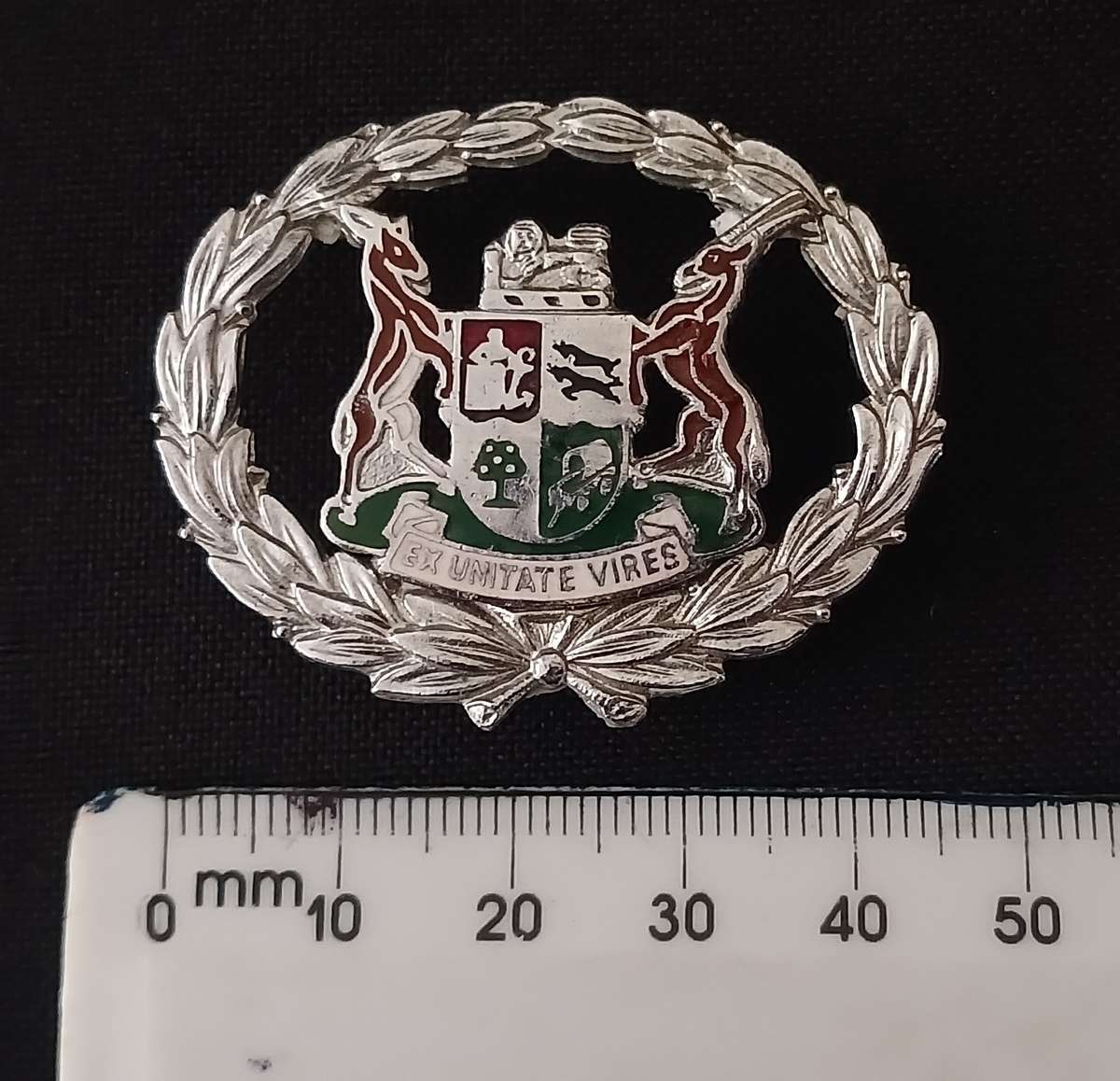 SAP WARRANT OFFICERS RANK BADGE          P13