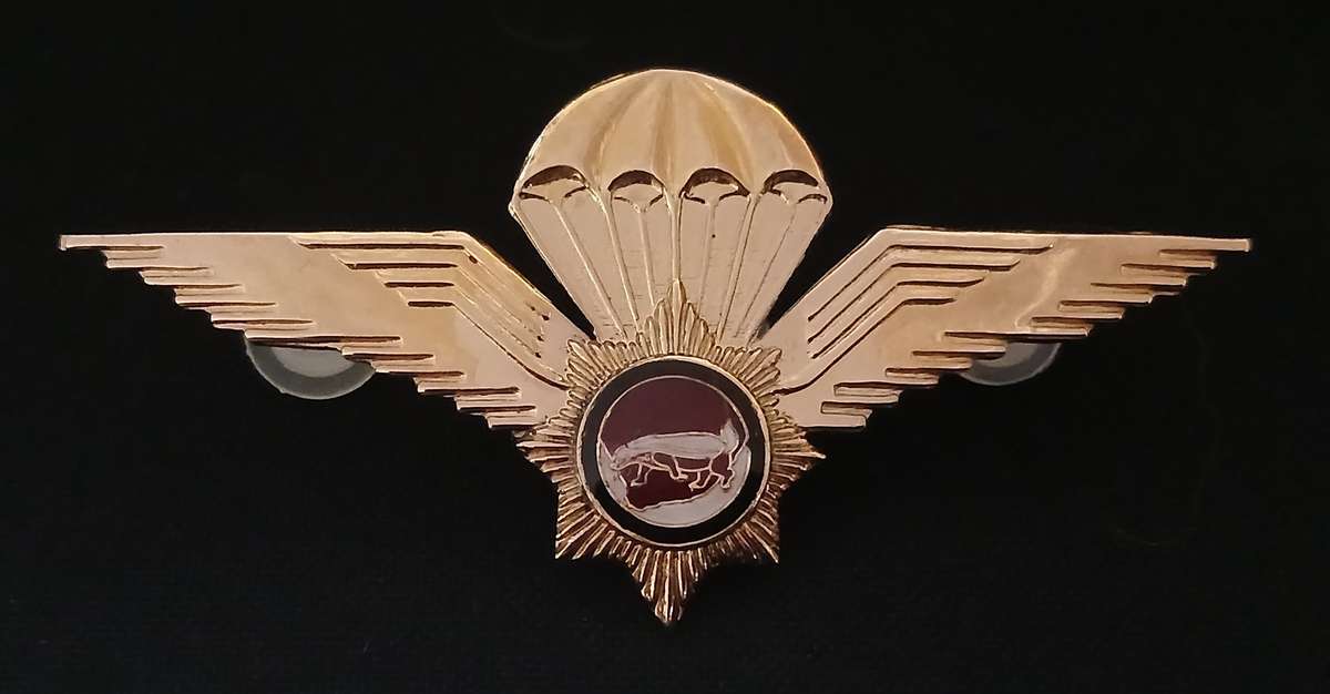 SA POLICE VLAKPLAAS PARACHUTE WINGS             L285