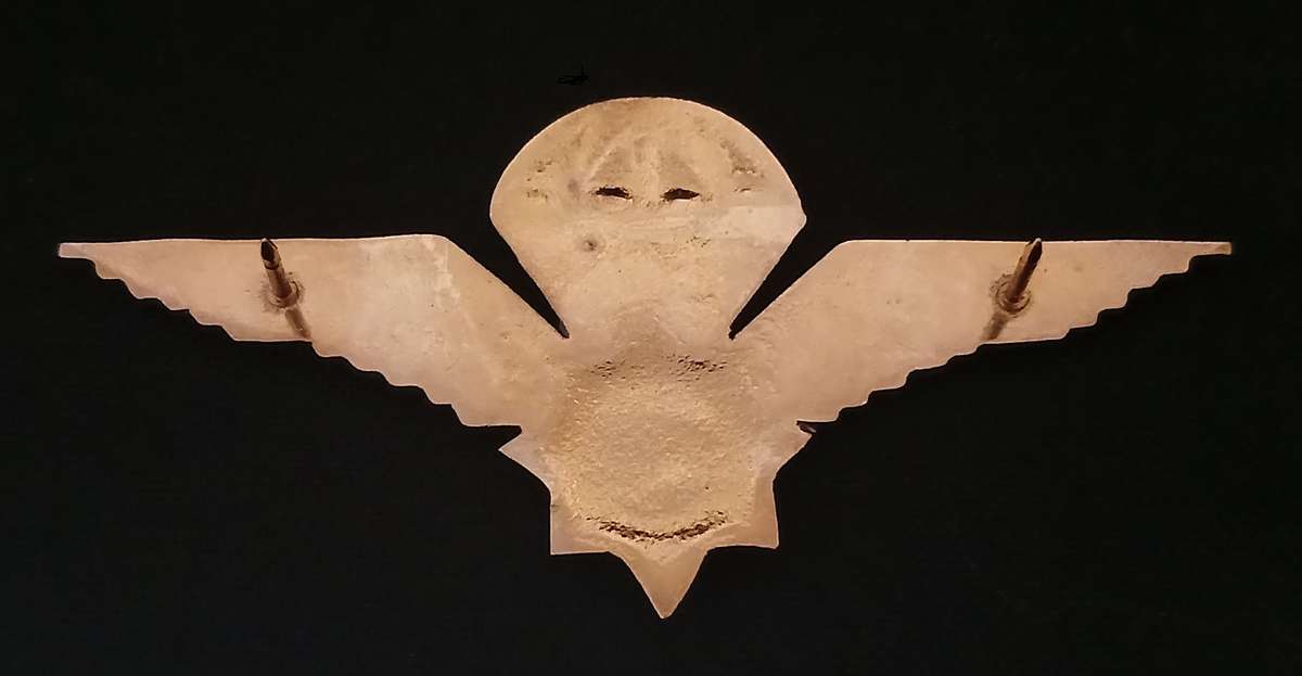 SA POLICE VLAKPLAAS PARACHUTE WINGS             L285