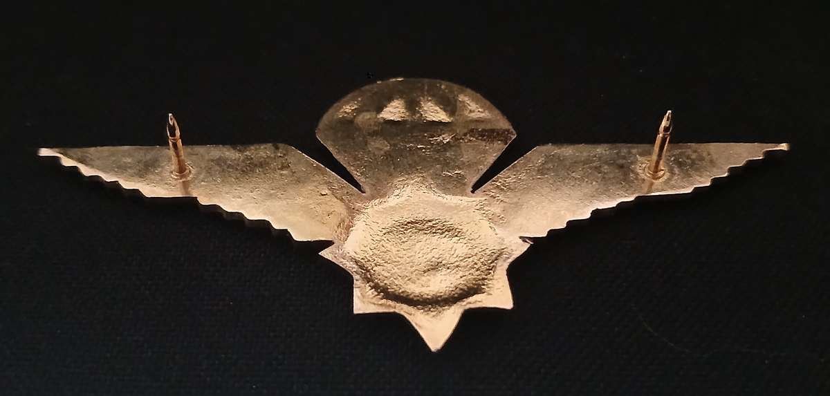 SA POLICE VLAKPLAAS PARACHUTE WINGS             L285