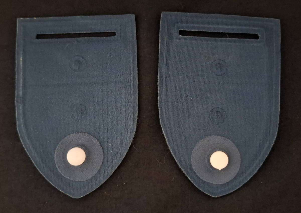 SAP Police Assistant Shoulder Flash Pair                         E133