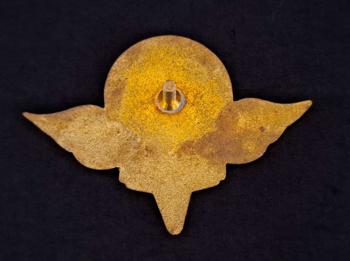 Russian Federation UN "RUSBAT" Wings                  E151