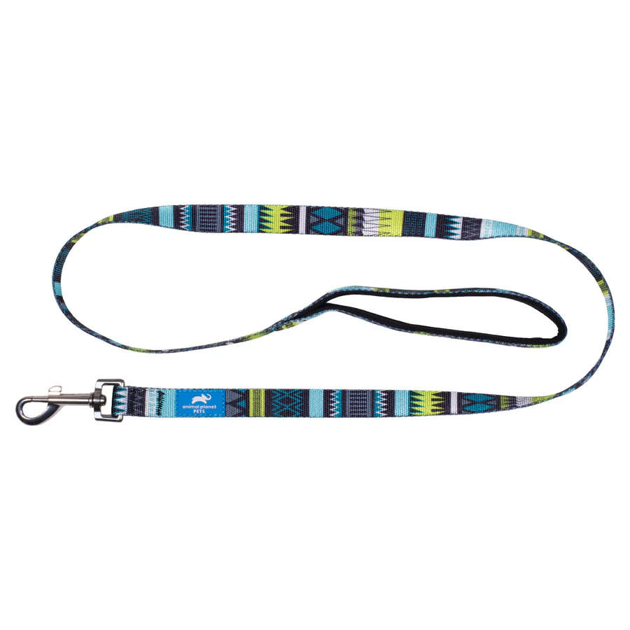Animal Planet Pattern Lead, Turquoise