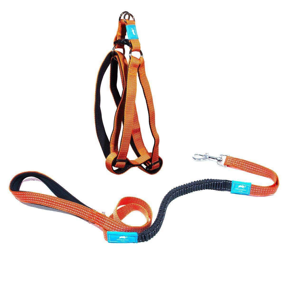 Animal Planet Step-In Harness And Anti-Shock Lead Bundle - Orange - S